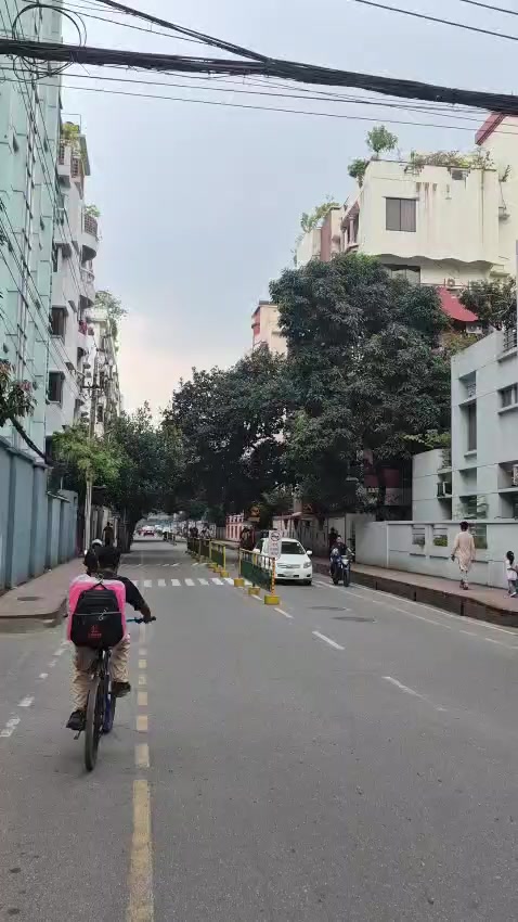 @মোহনা 🦋