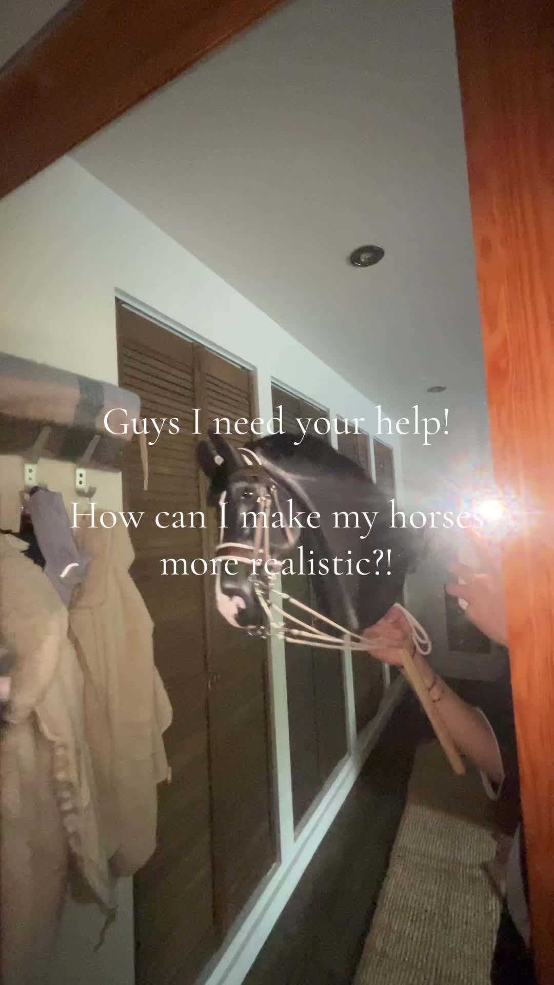@zhobbyhorse