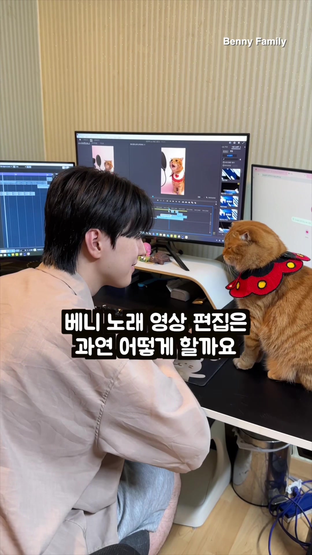 @베니패밀리 Benny Family