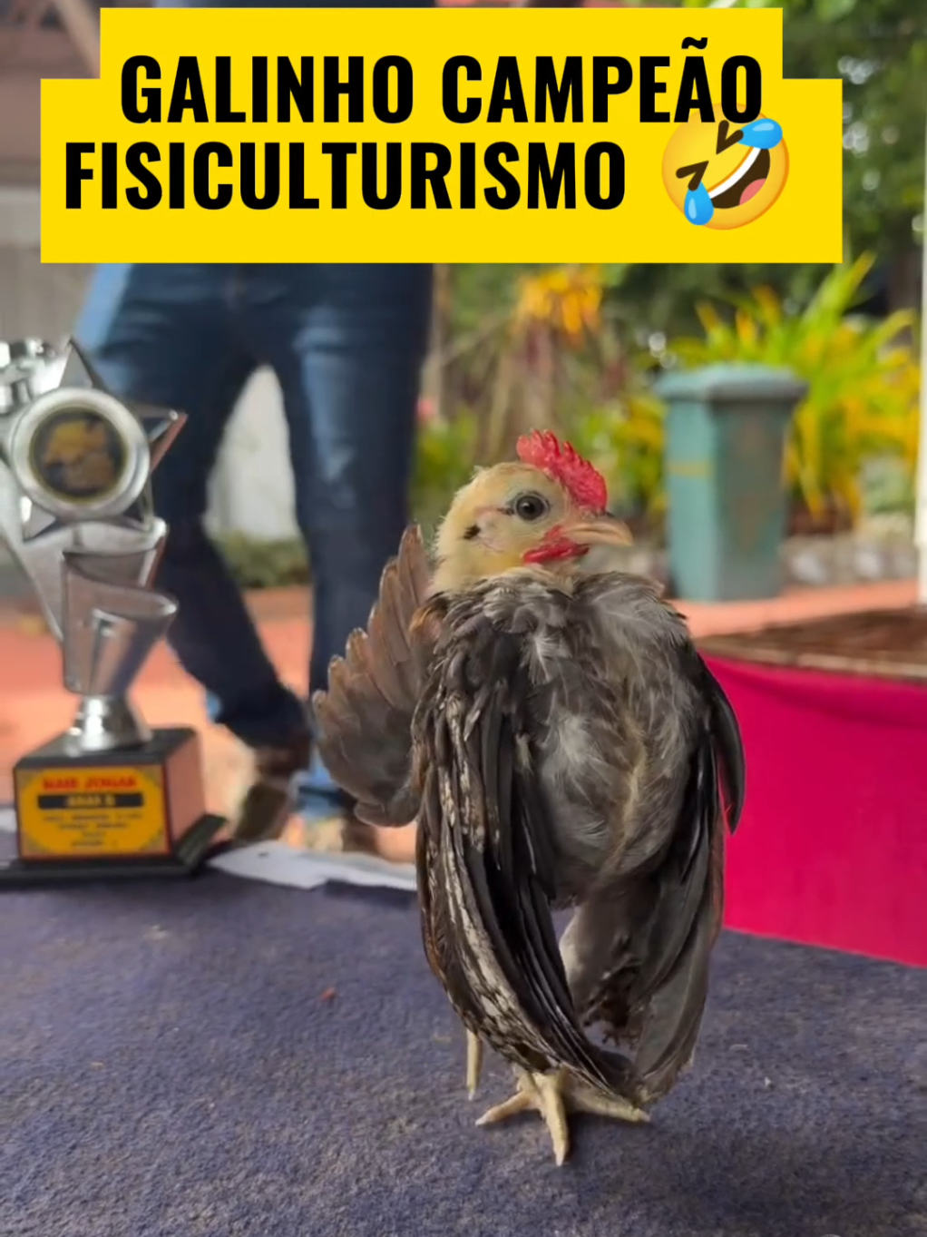 @TRAVEL PINGUIM