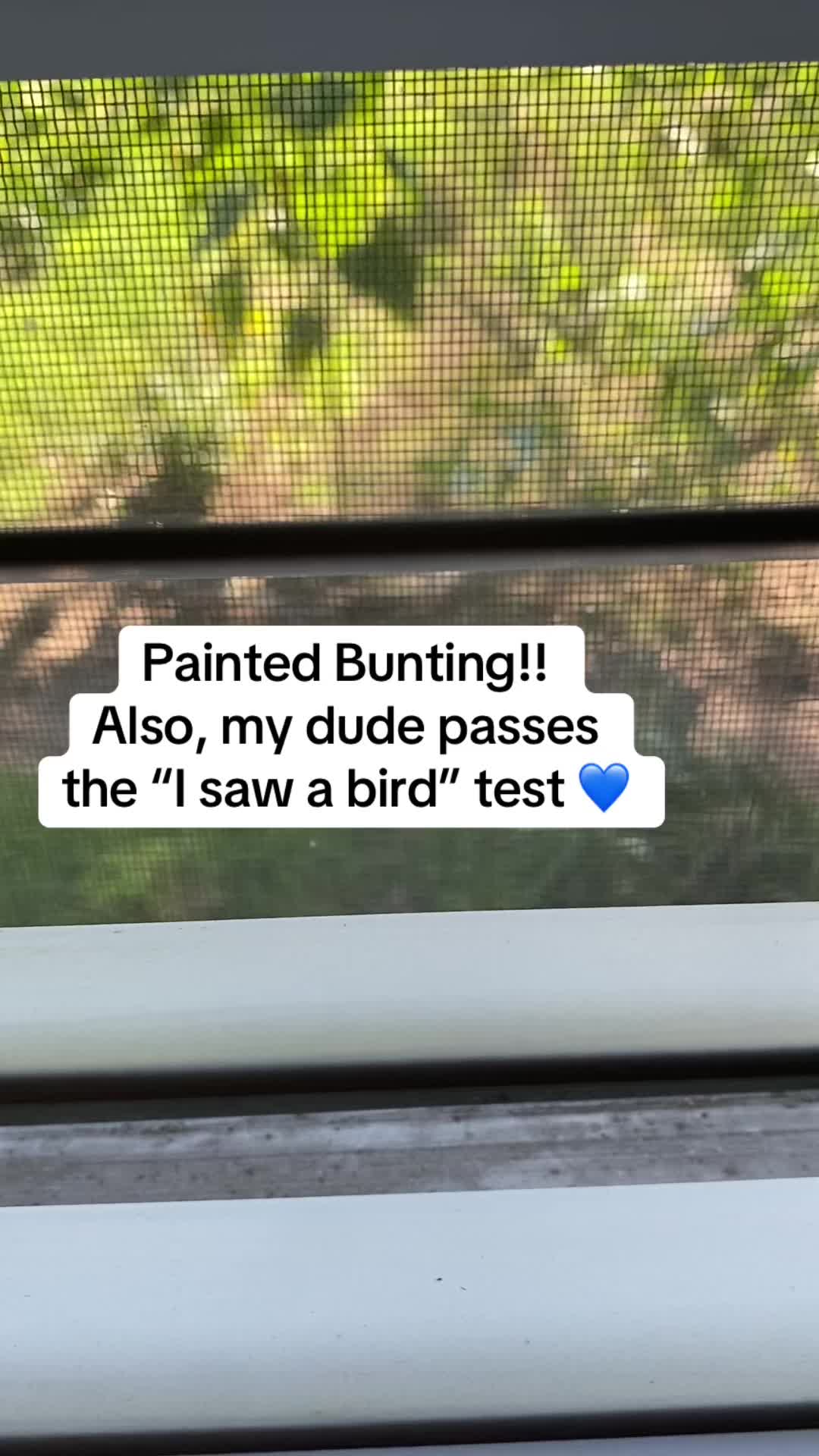 @SpiritSong🦋