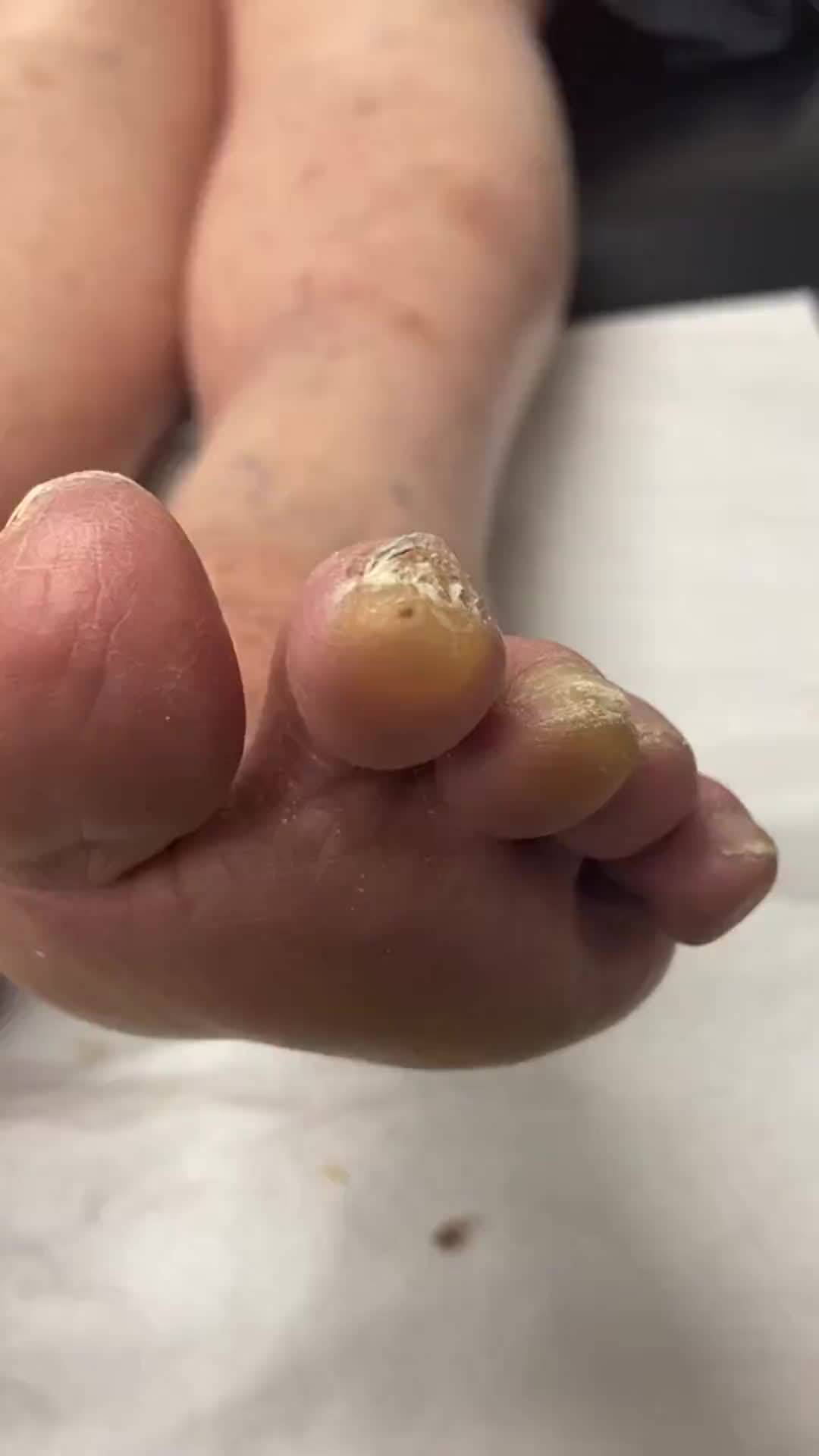 @ergonx