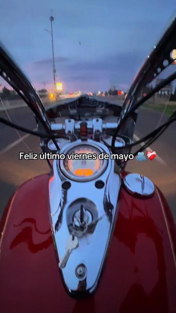 @Kawasaki Vulcan David