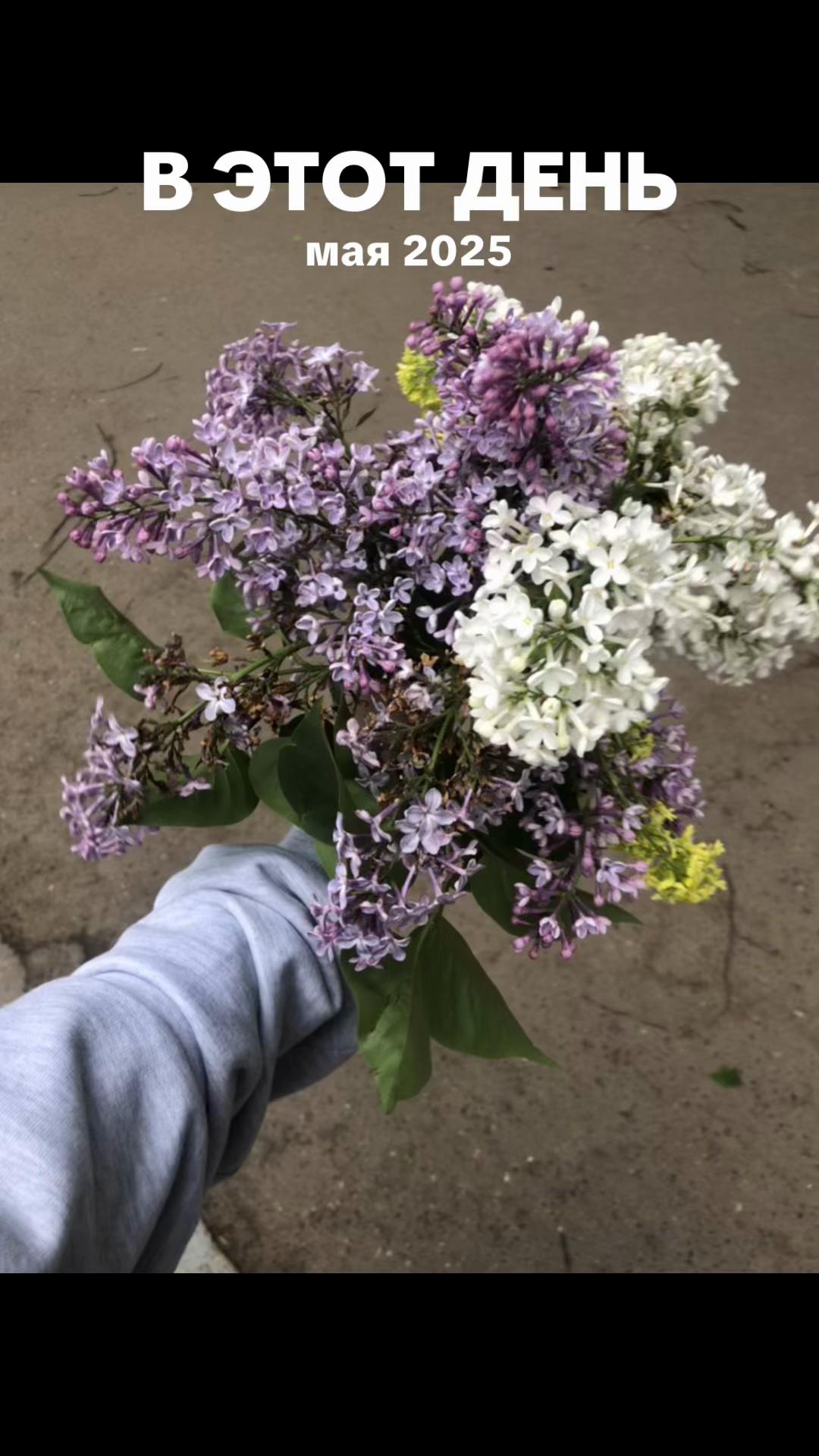 @мариша онлифанс 🏳️&zwj;⚧️