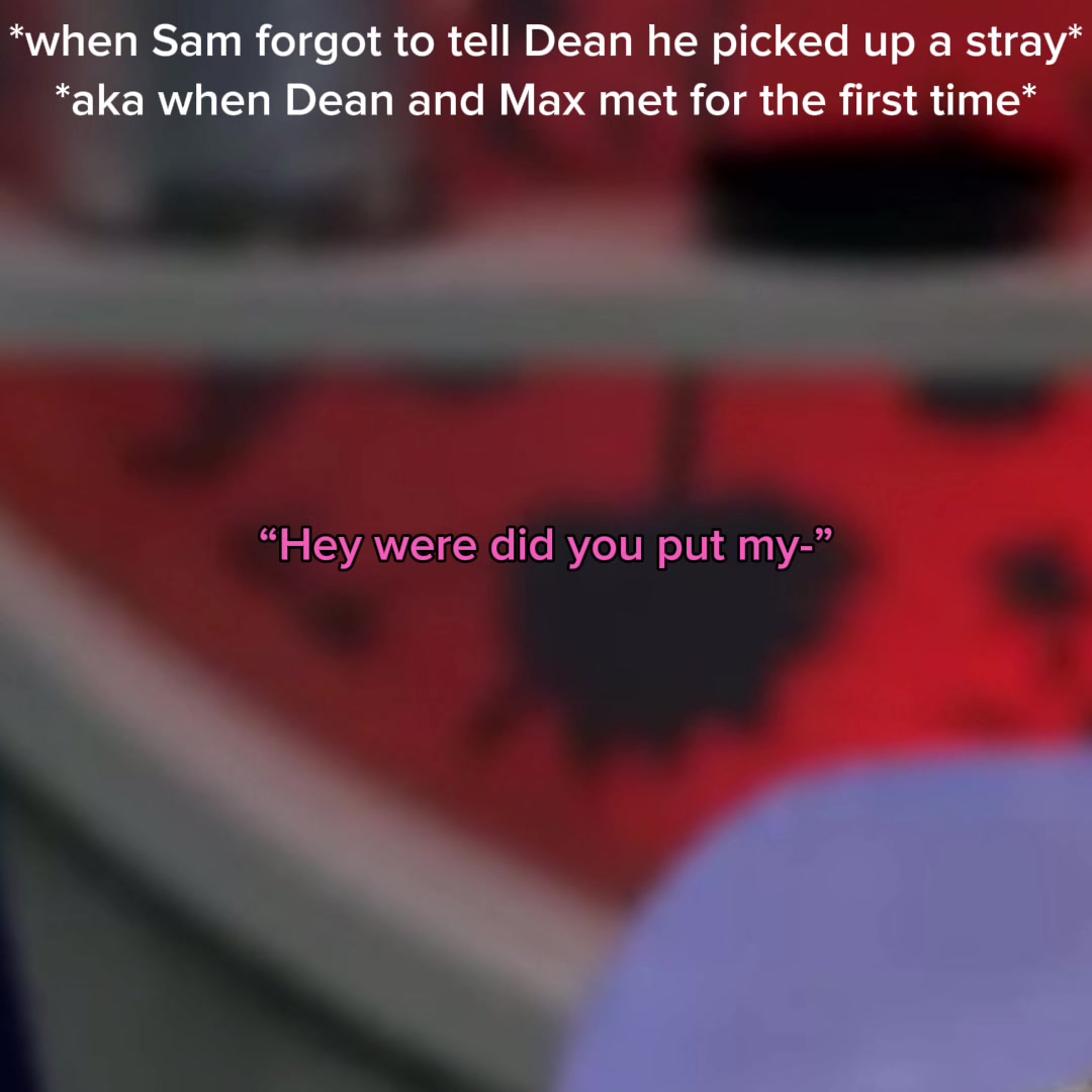 @spninreallife