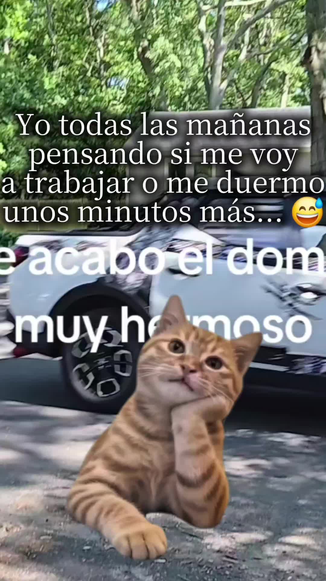 @HILDA