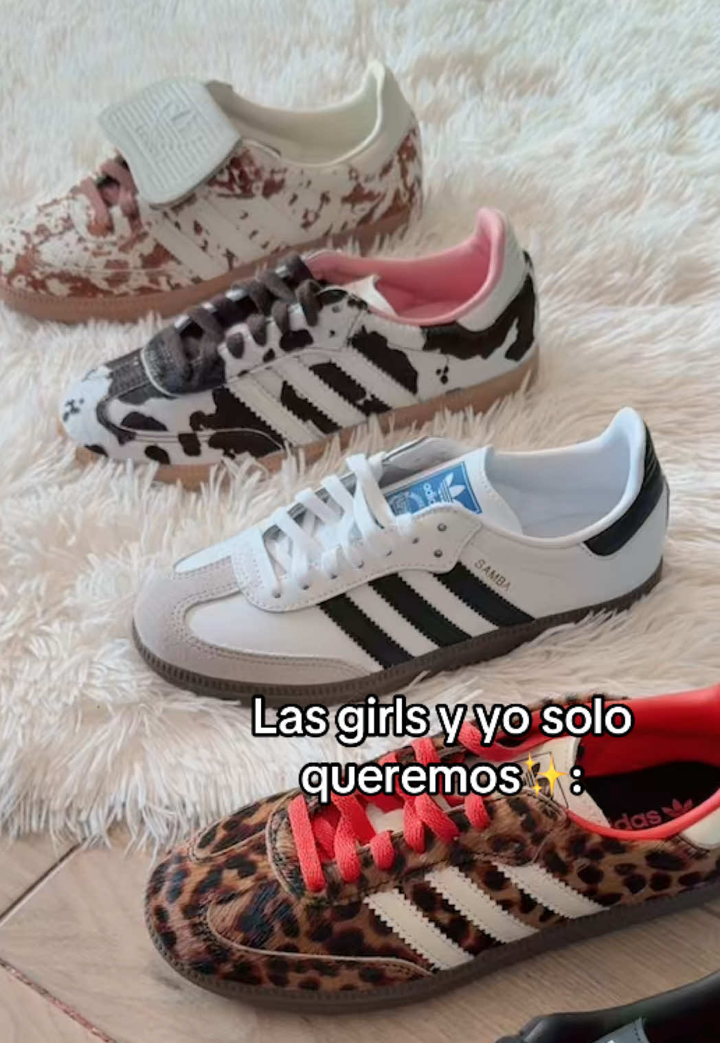 @absolute.mx_