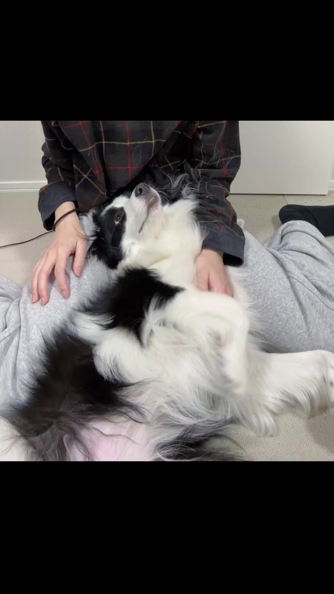 @浅井 美加紗