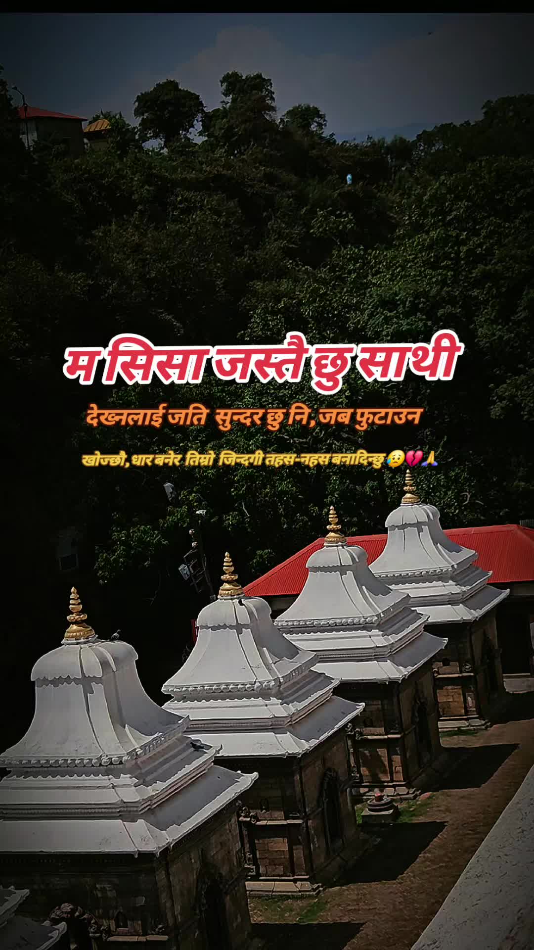 @AASHISH🤗🤗