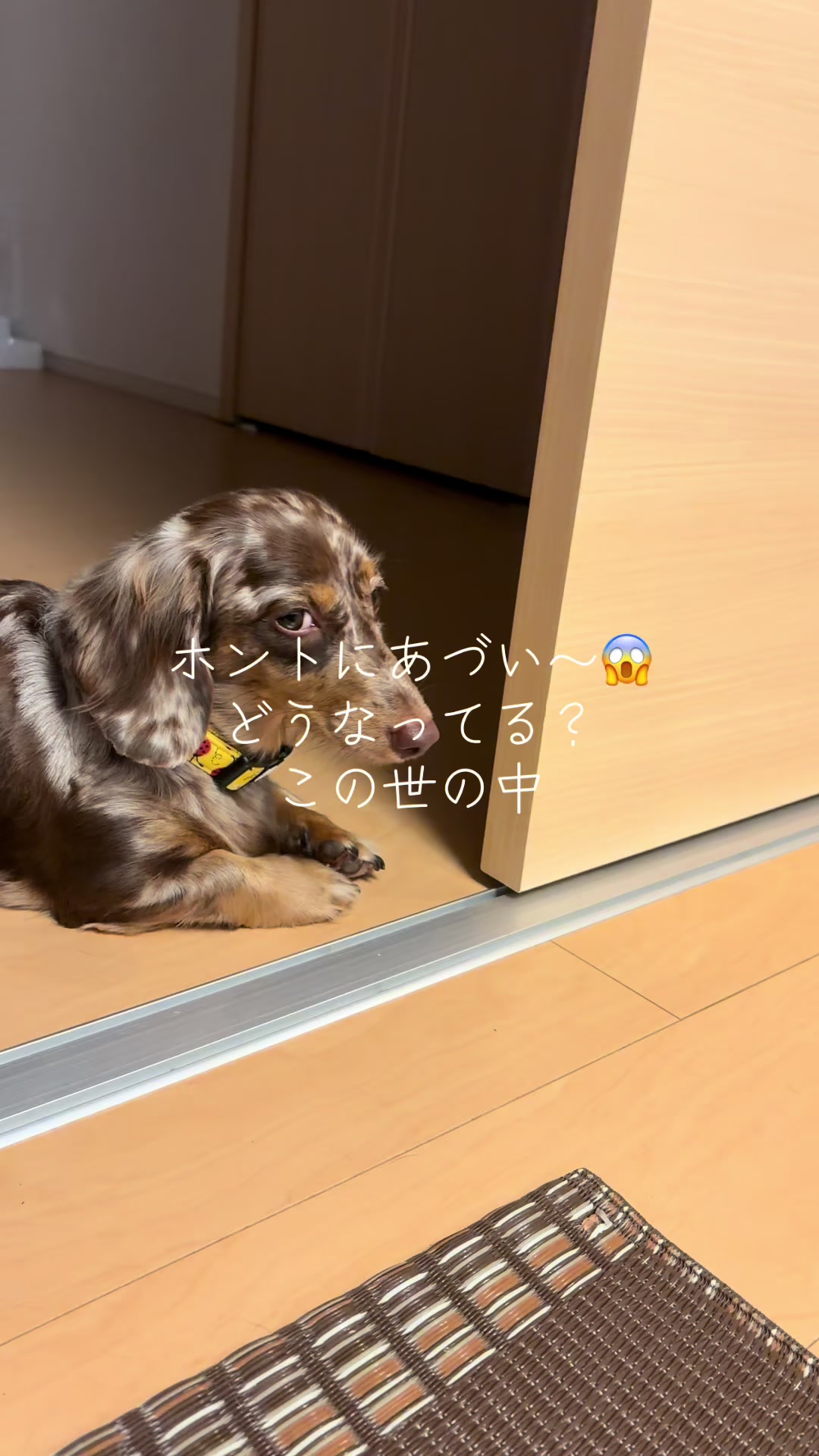 @ケン