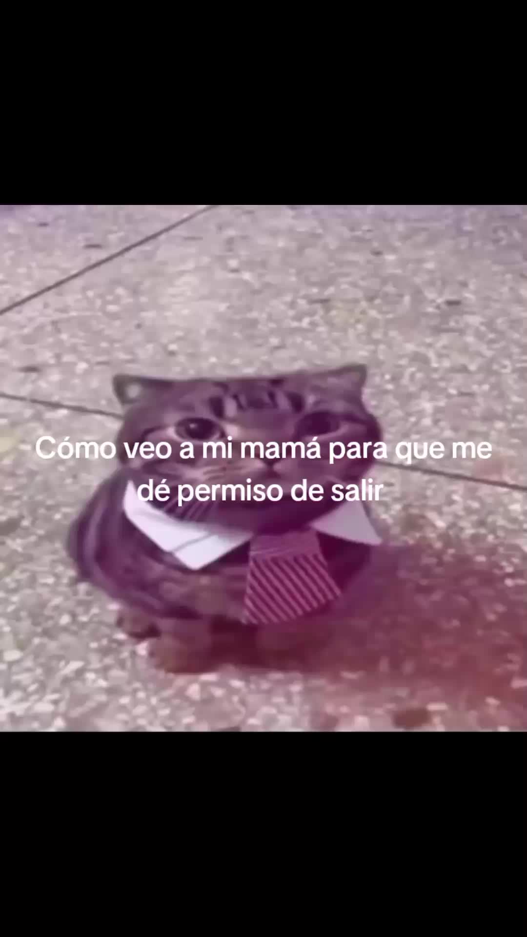@▸