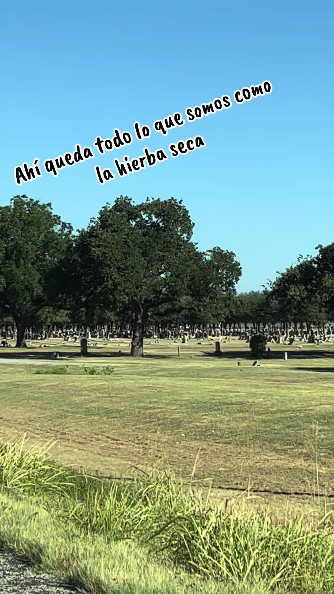 @Antony Saavedra