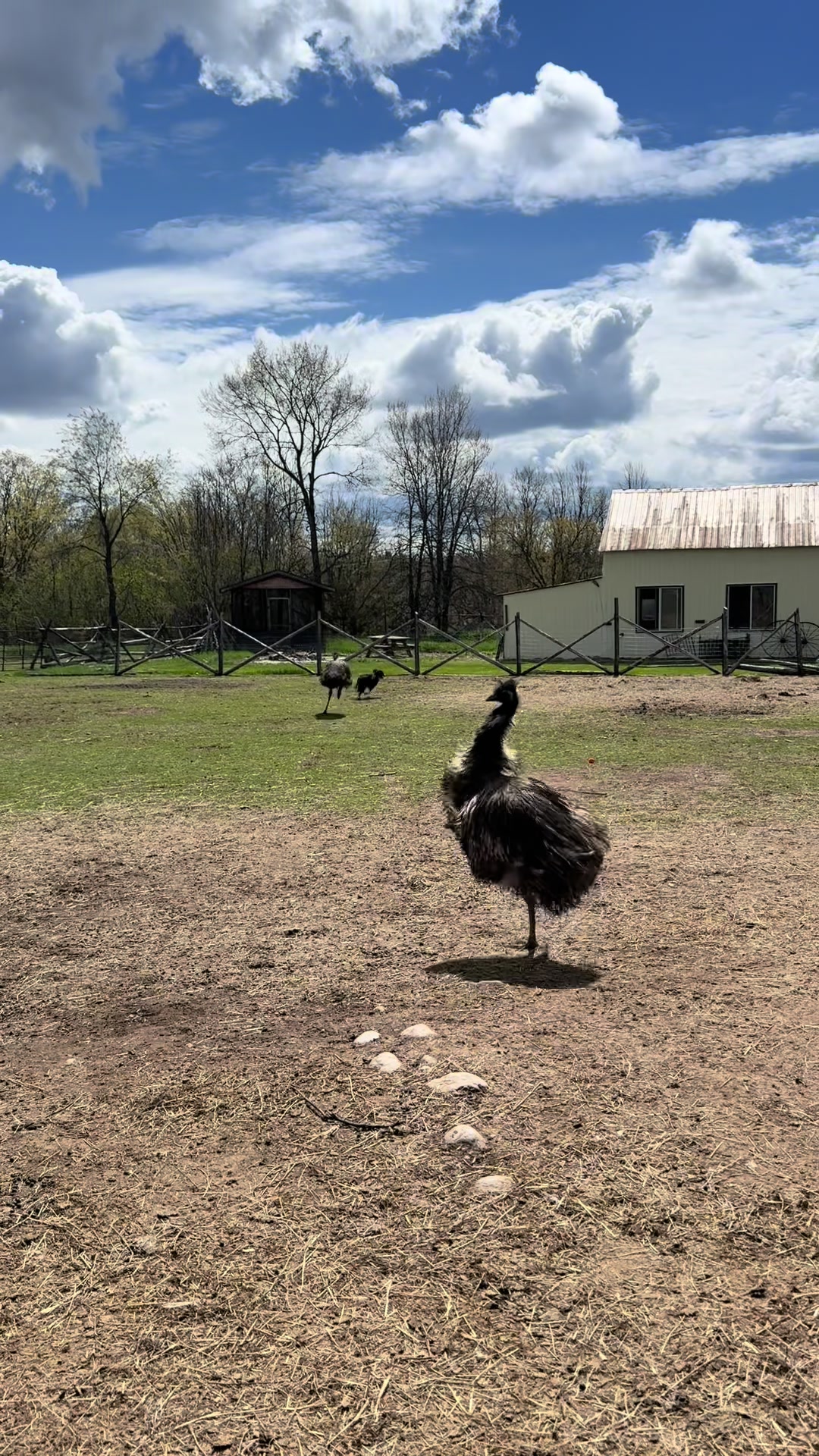 @Useless Farm