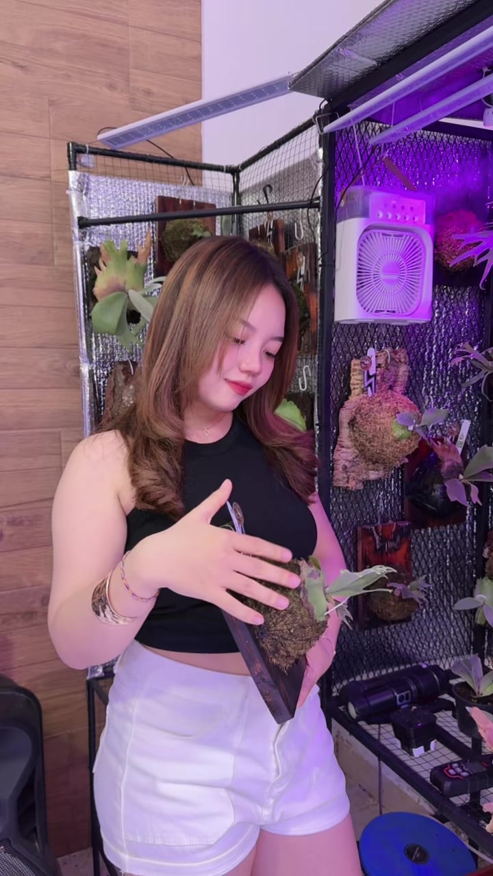 @singplaty