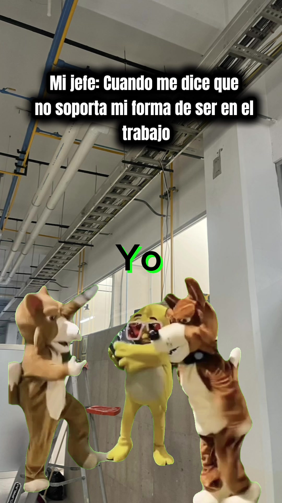 @Julio Miranda