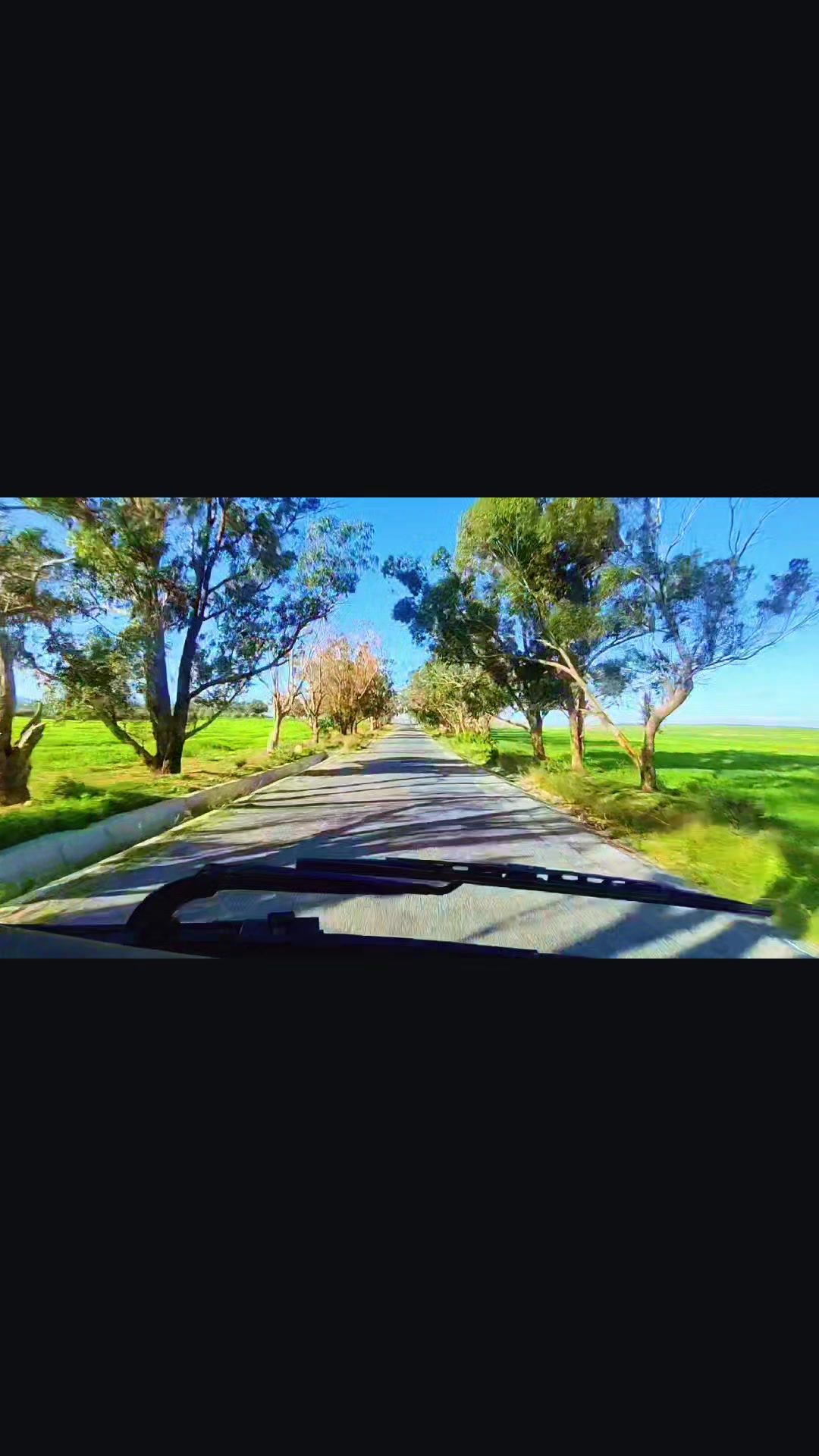 @Salah Mzeou