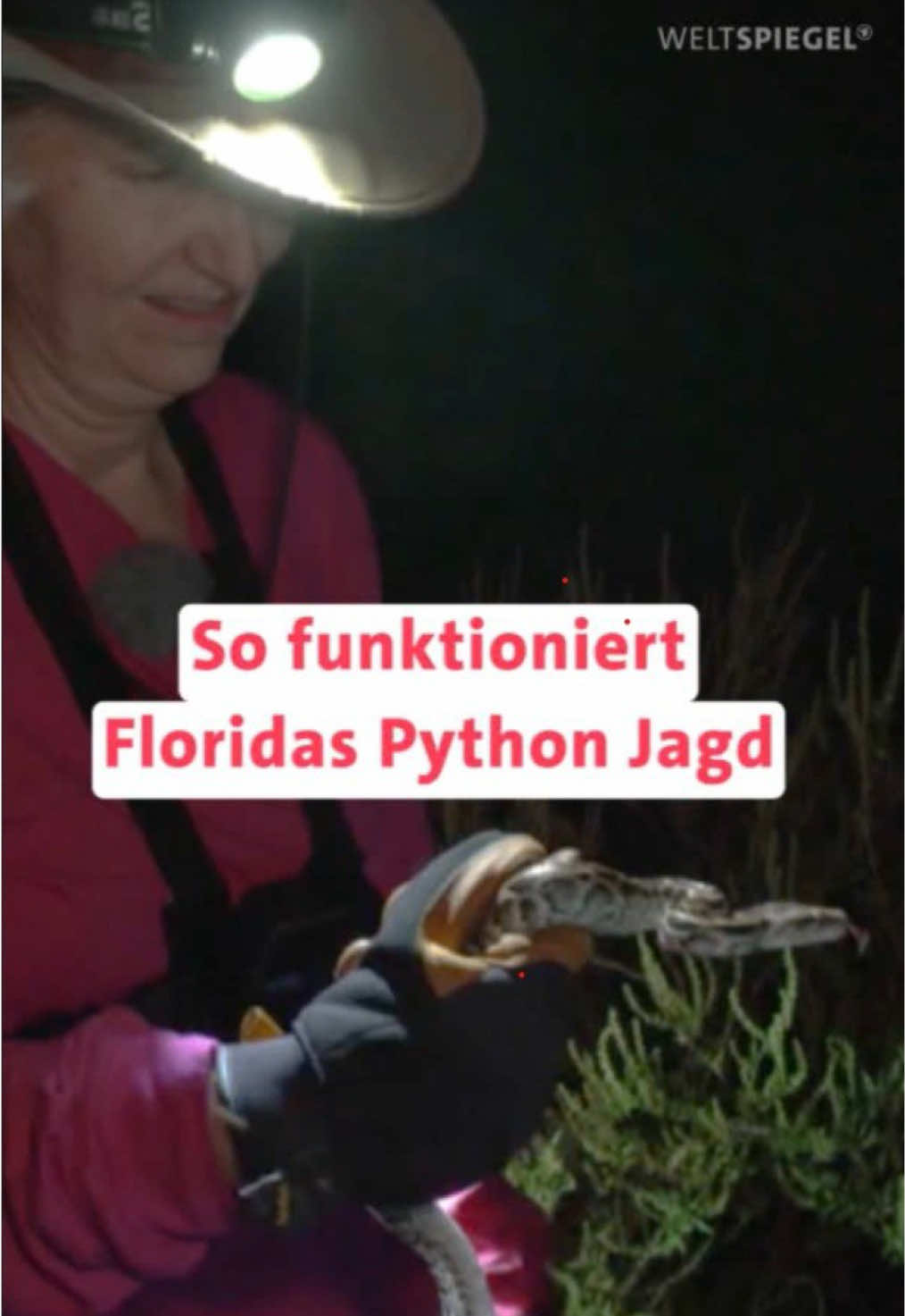 @weltspiegel