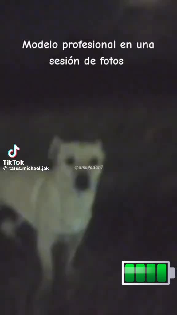 @Jos&eacute; luis