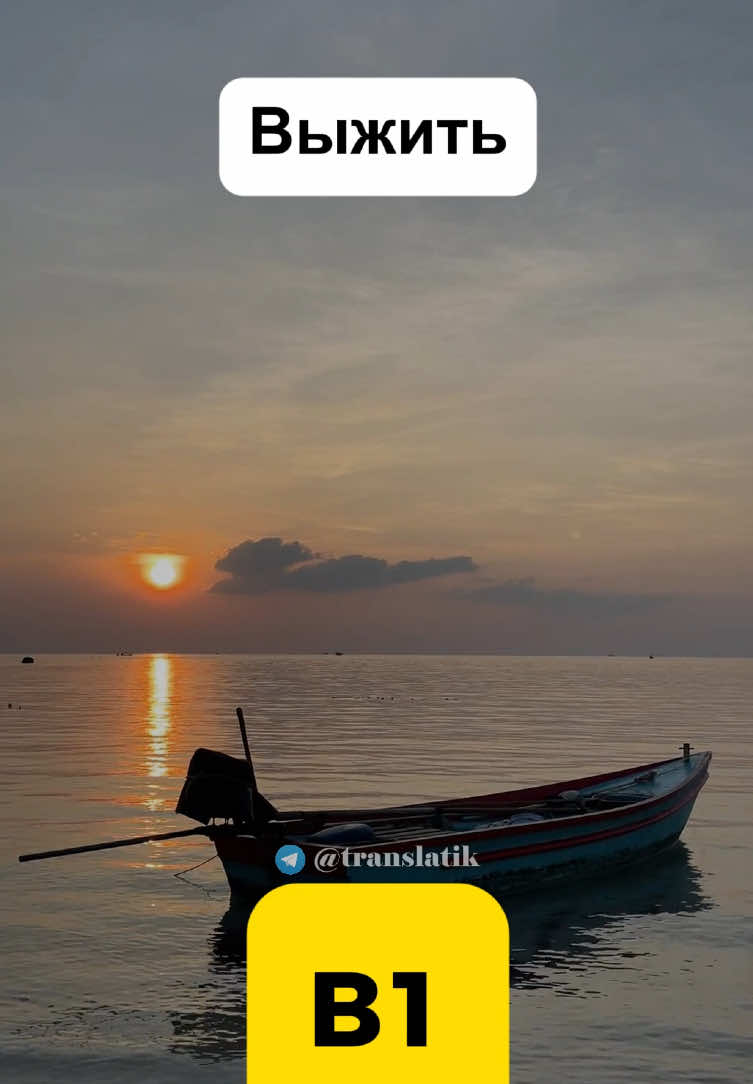 @Translatik