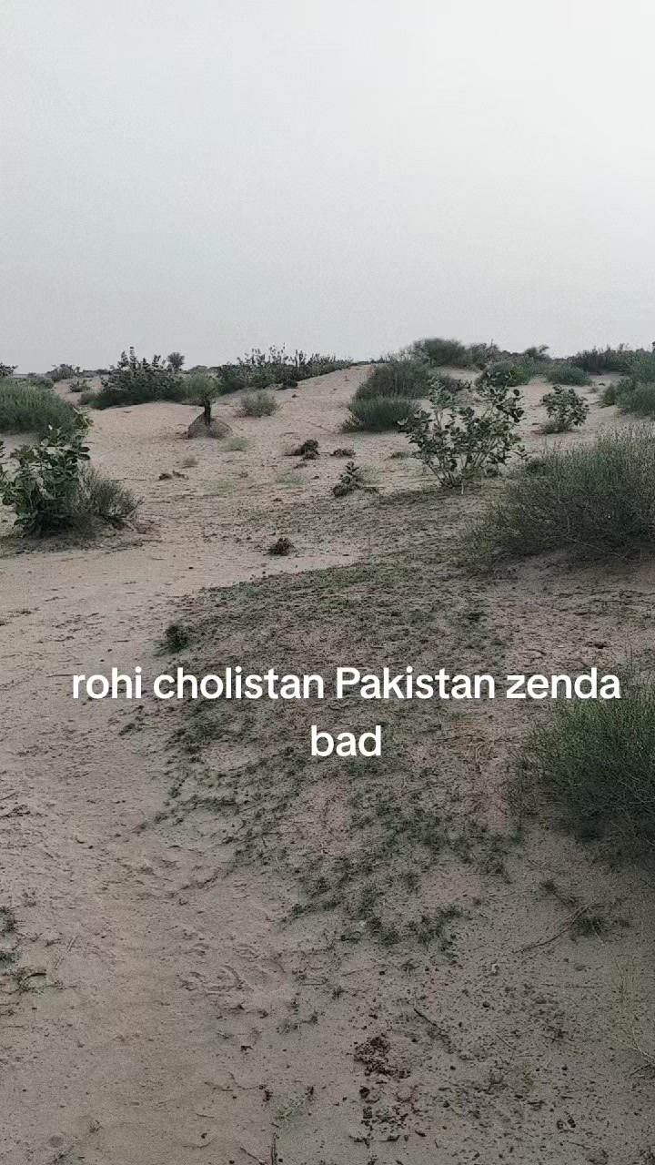 @Muradu Ram