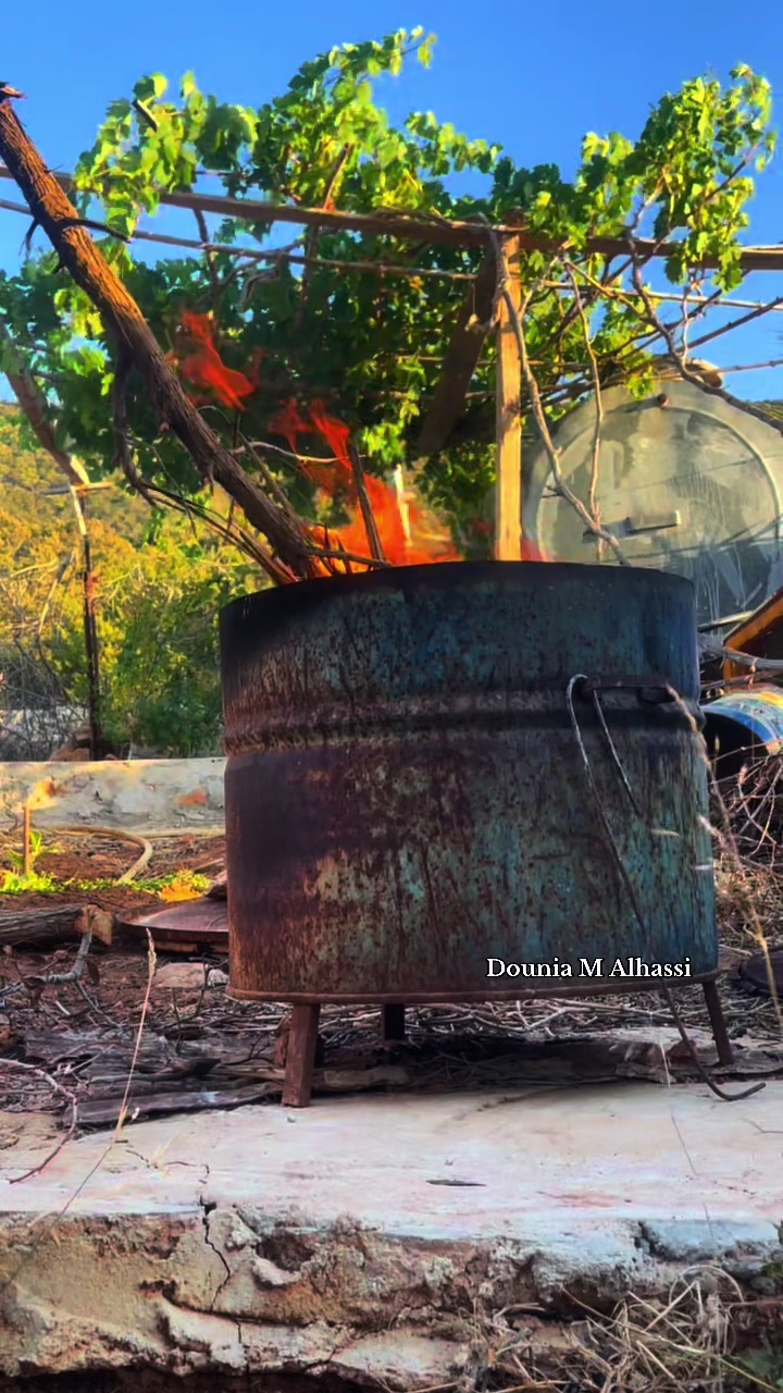 @📸 دُنـــــيــــــا || DONIA