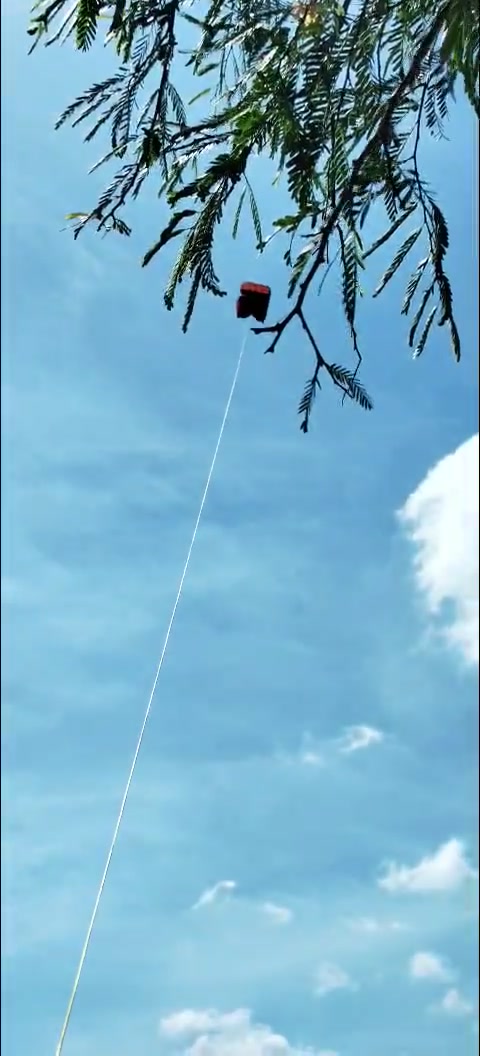 @Thả diều c&ugrave;ng Lợi