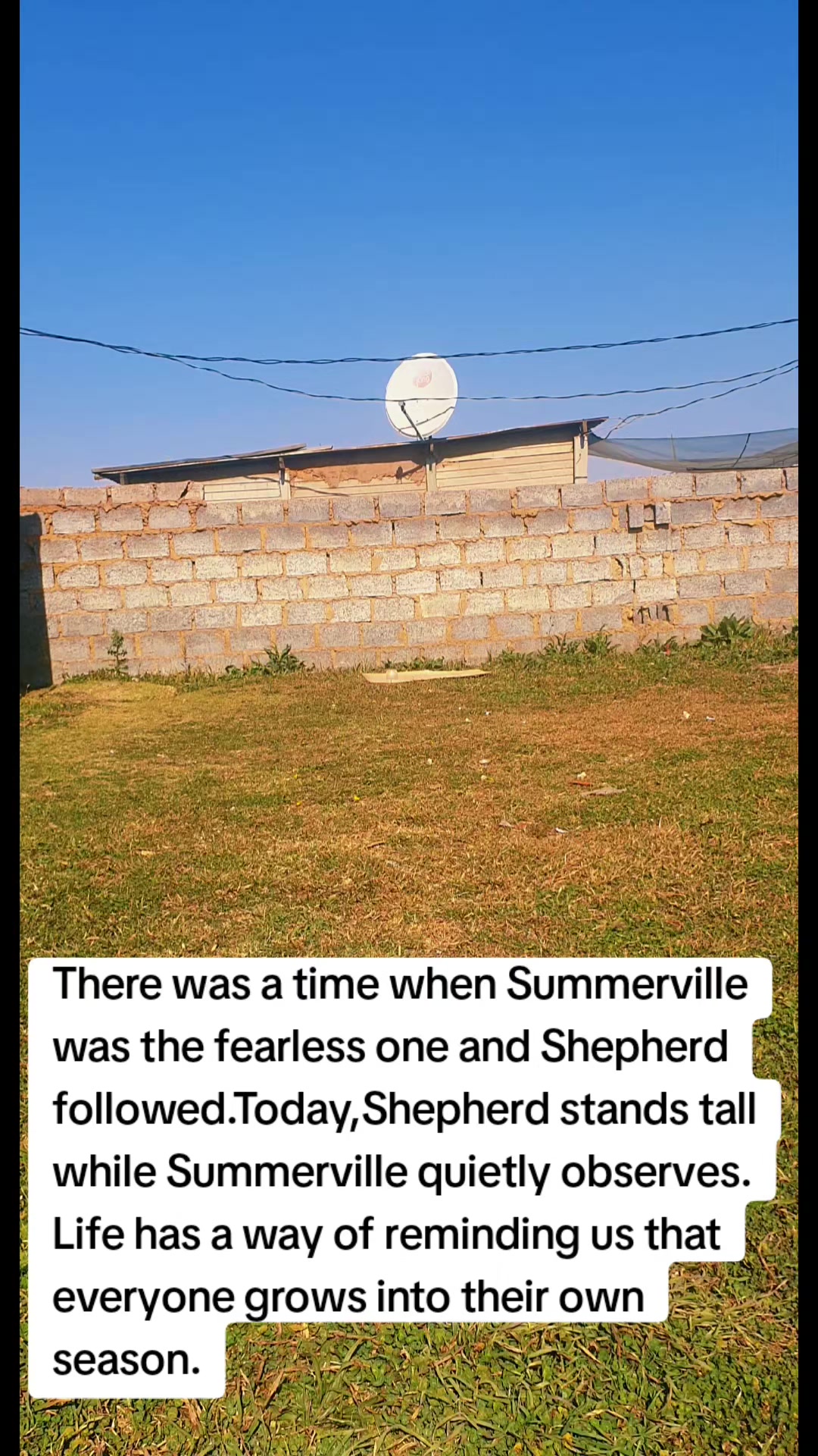 @LifeWithSummerAndShepherd