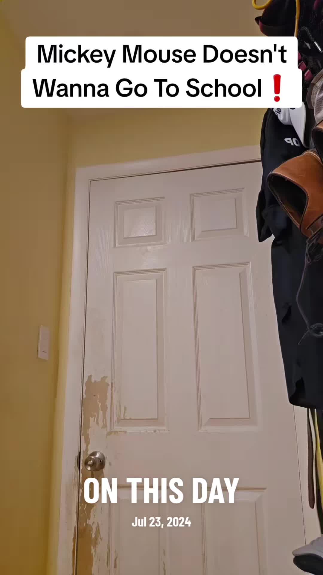 @BryanHZ4701