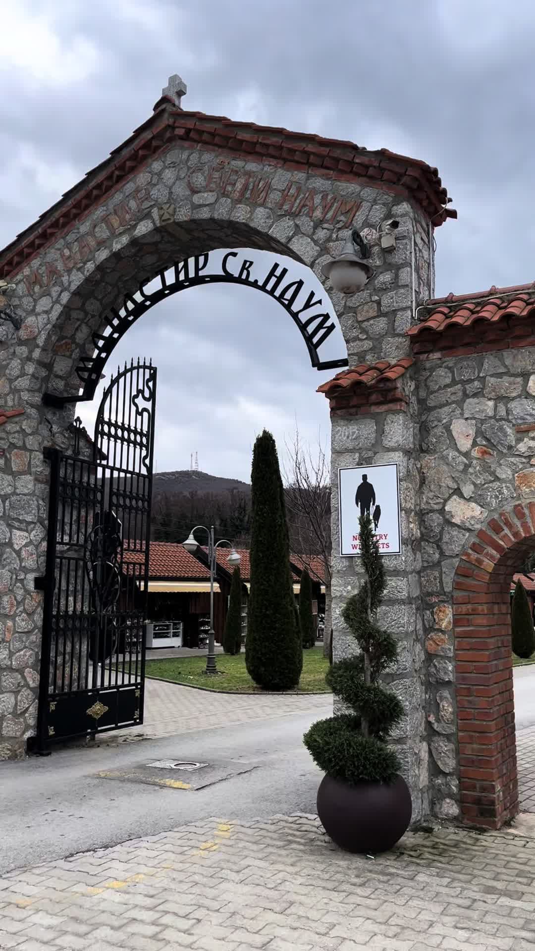 @Anđela Janićijević