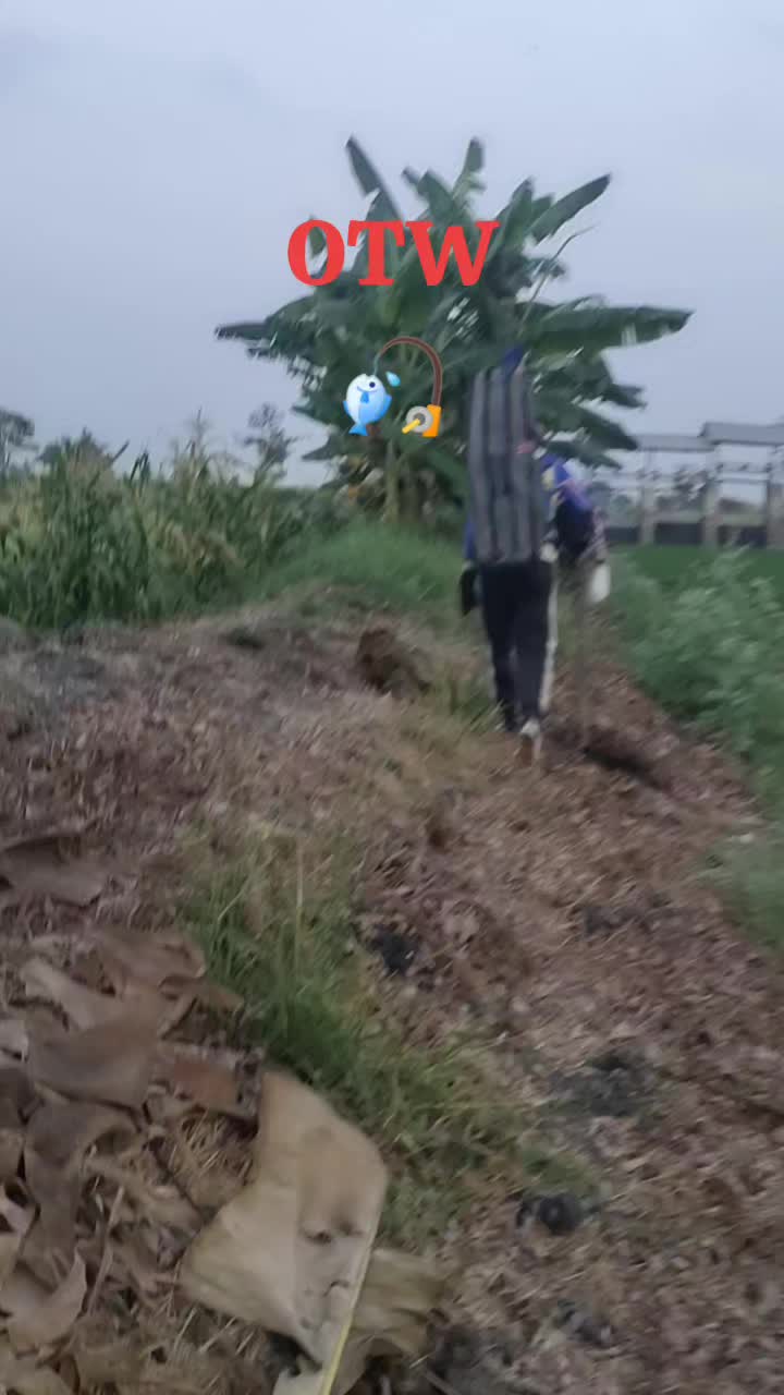 @SuryaGemilang