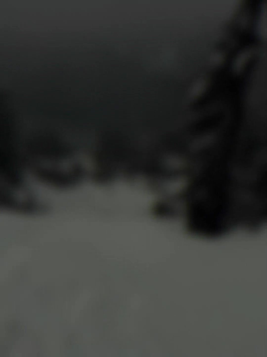 @🇩🇪 𝕽𝕰𝕴𝕮𝕳𝕾𝕴𝕬𝕹 🇫🇮 ✠