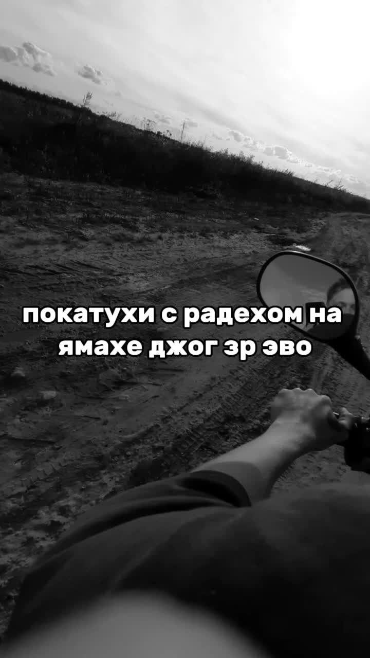 @RADEX | ЛИС #GOST