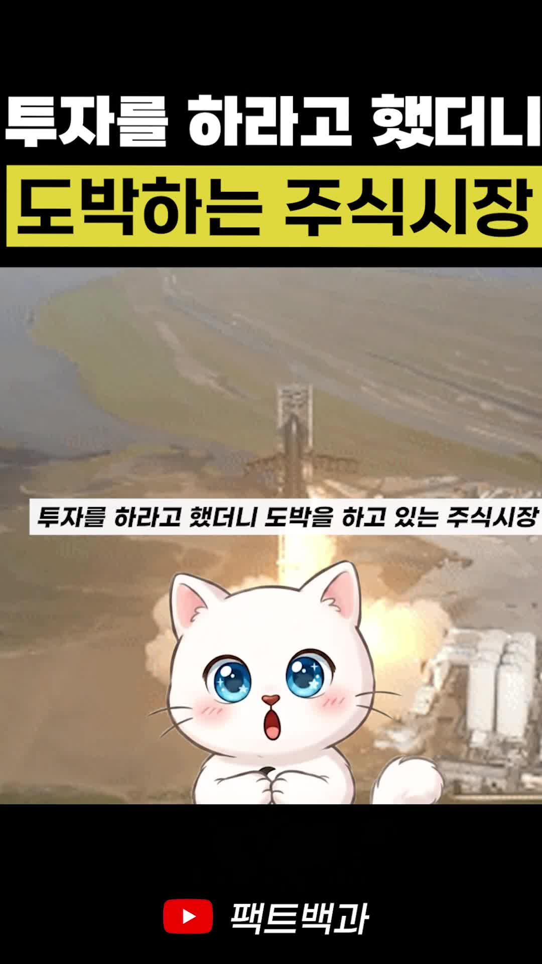 @인물백과