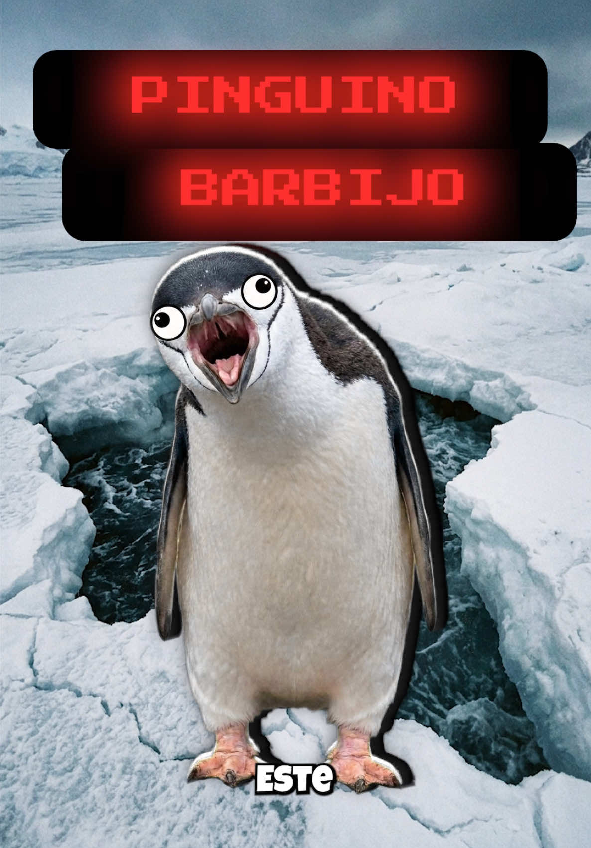 @GabSolf