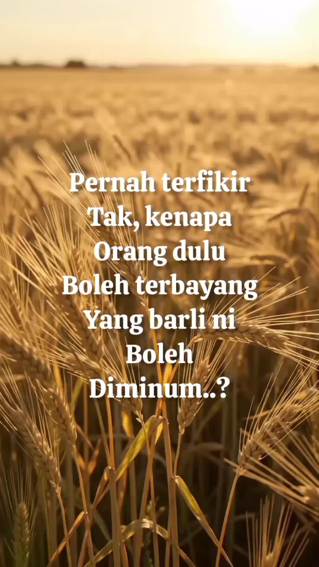 @DyzMayaHanz47