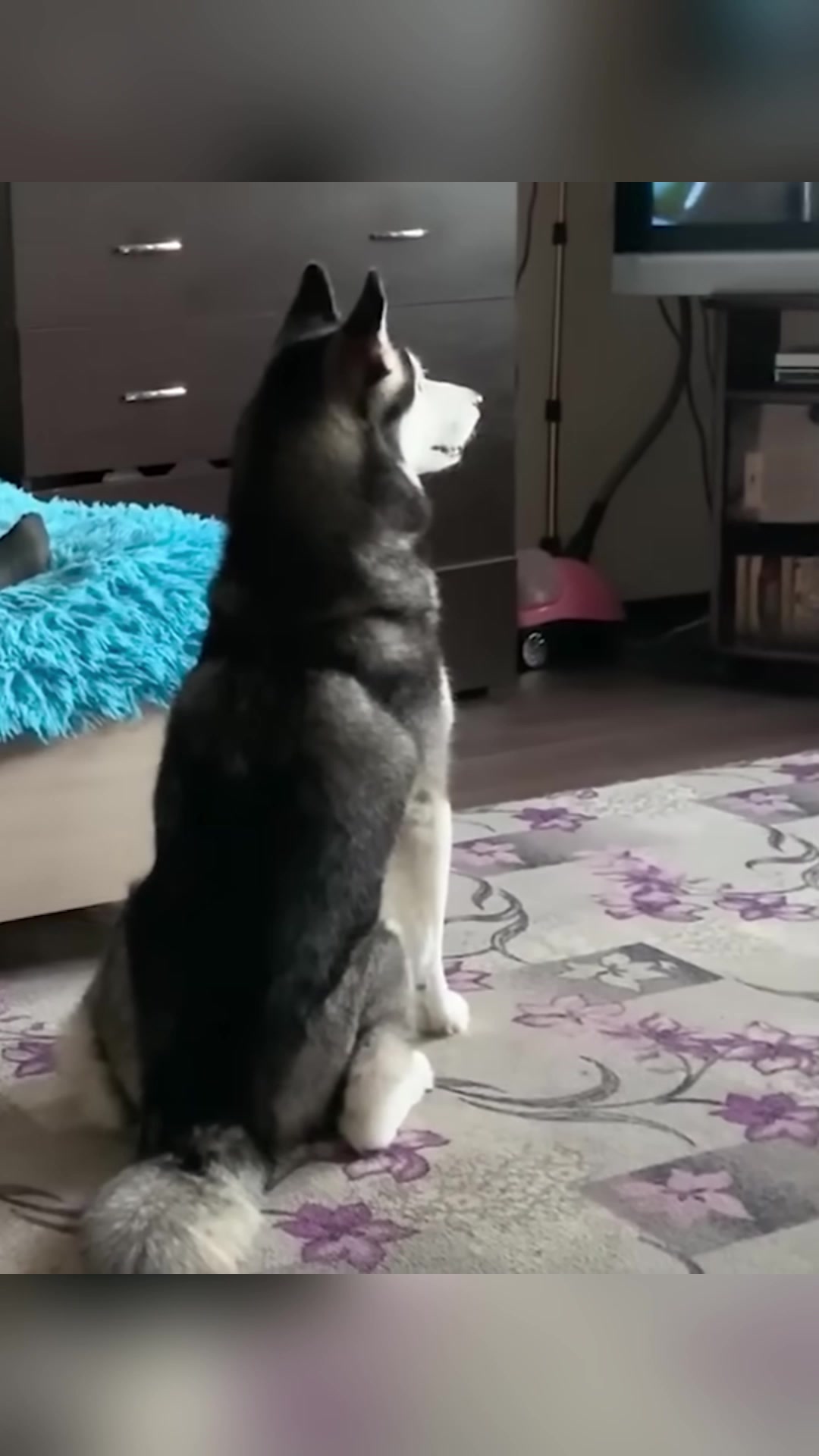 @Vicki Ưatts