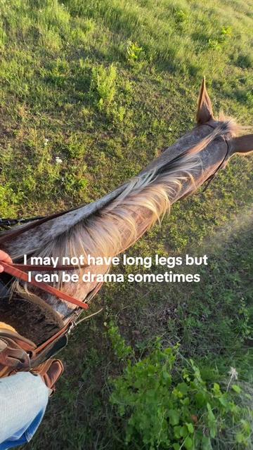 @OutlawLacy
