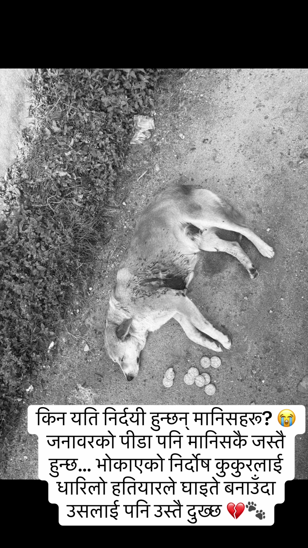 @Srijanathakuri