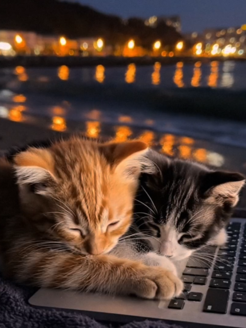 @purerpurr