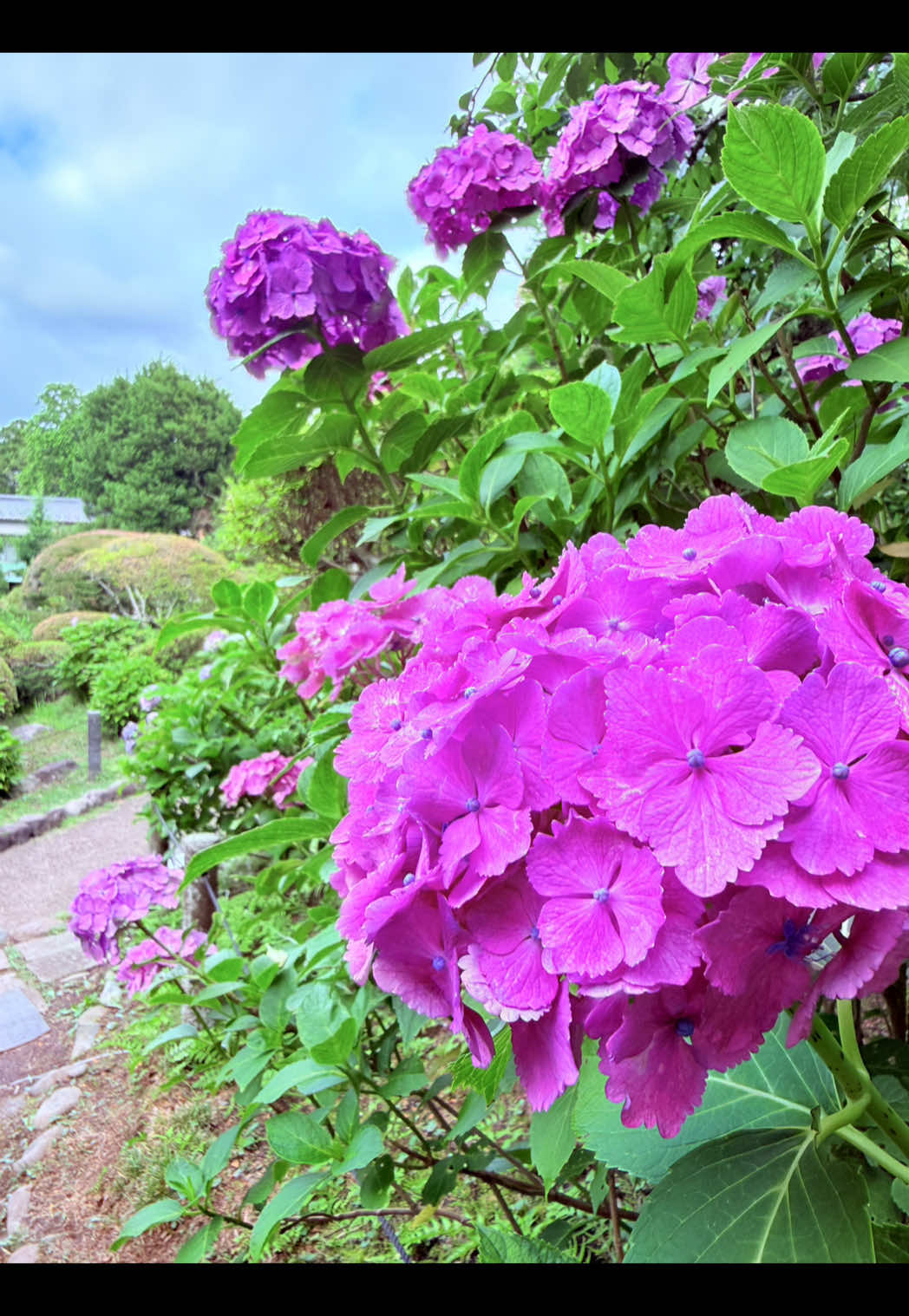 @和ノ音🍀.*⛩