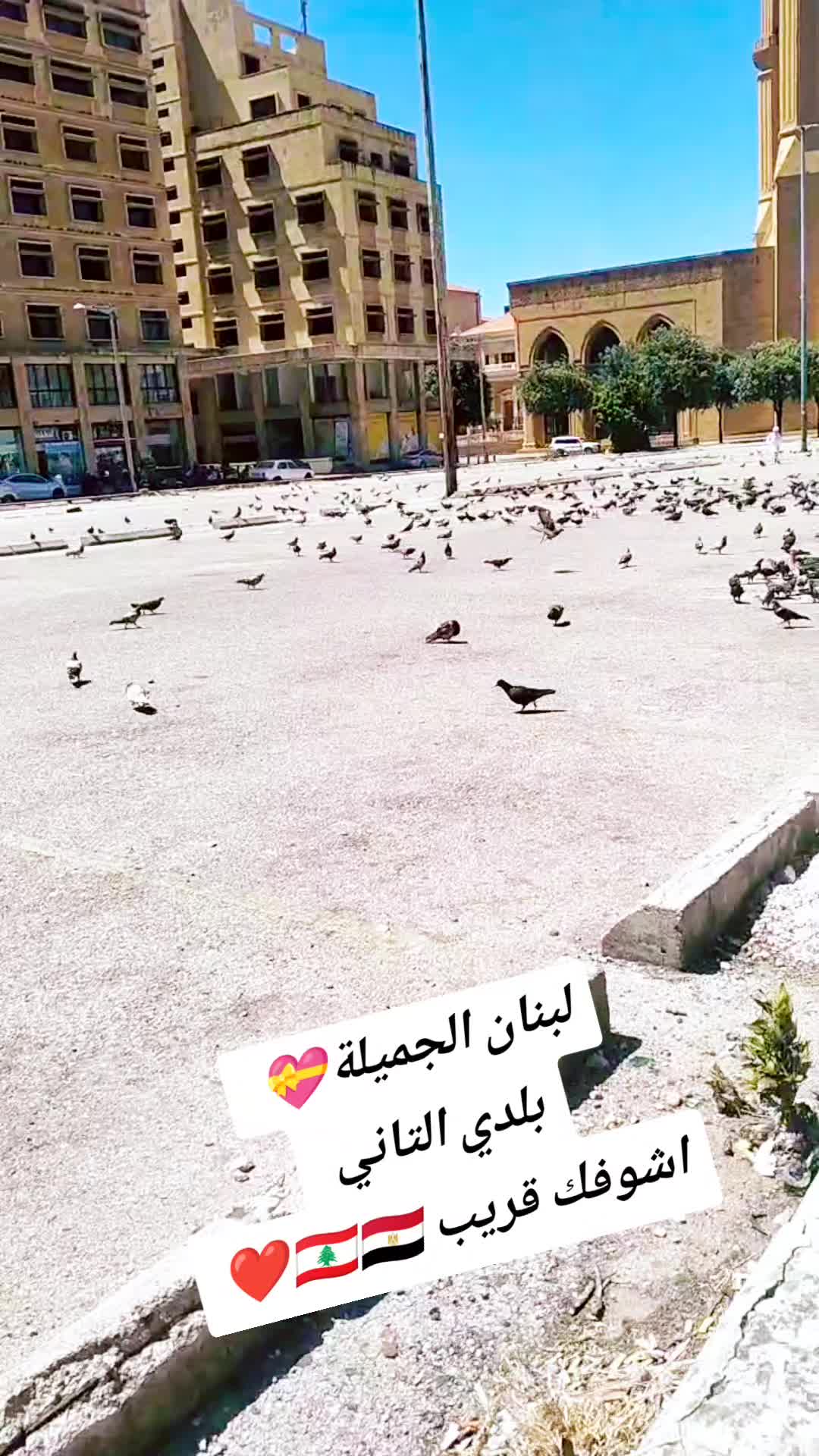 @Mohamed Abdel Rahman