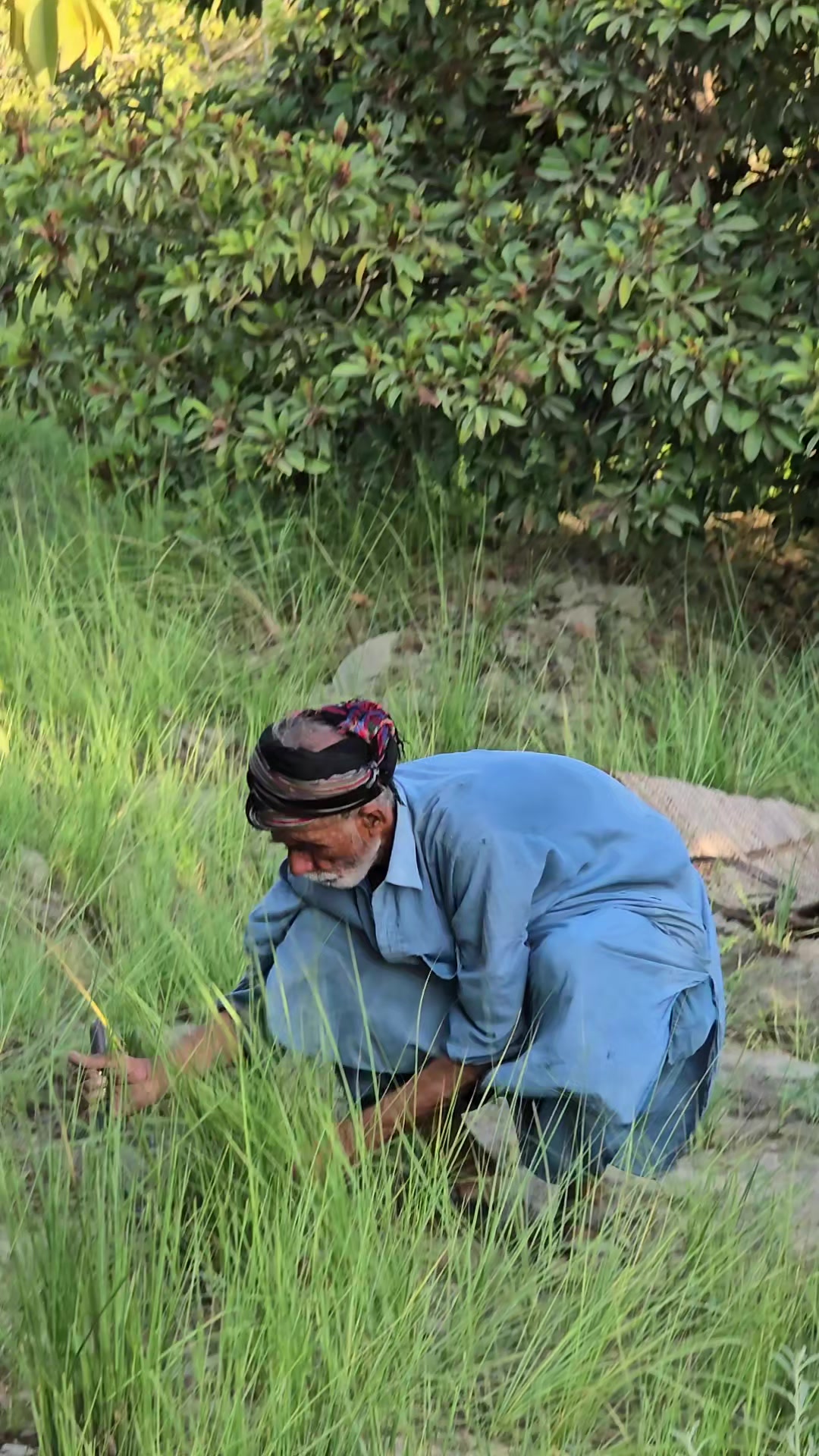 @Umer Rahim