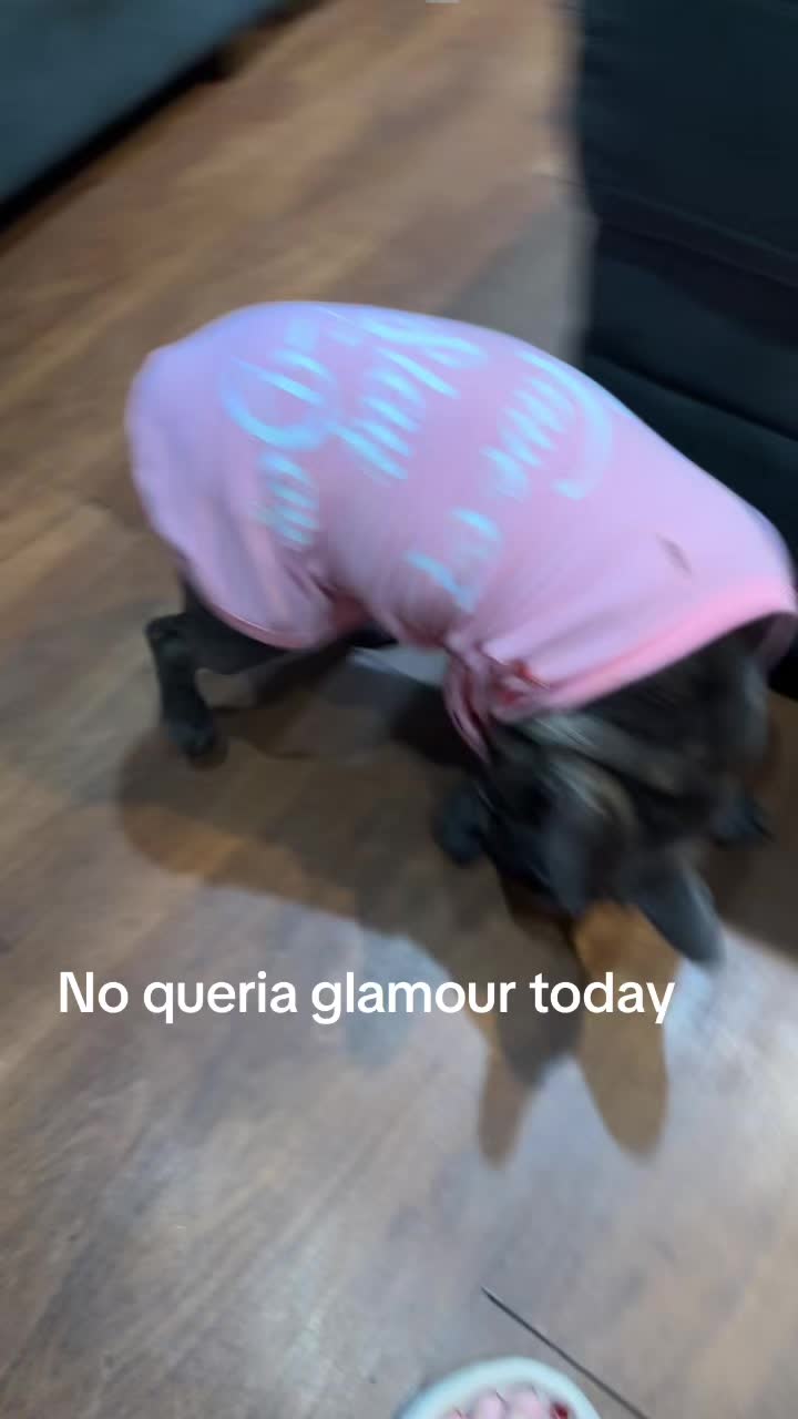 @Zoe Love The Frenchie