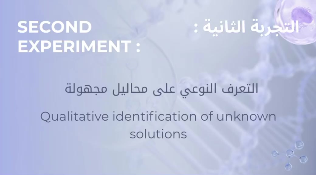 @فاتن الغامدي