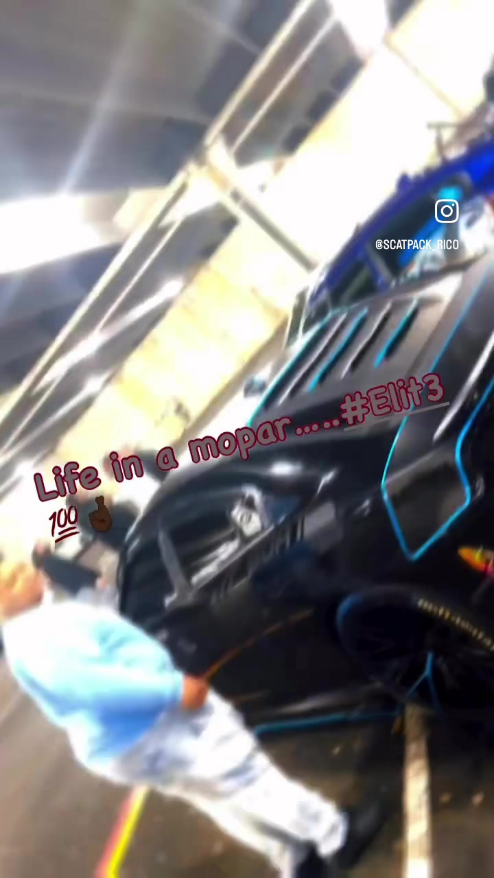 @scatpack_rico