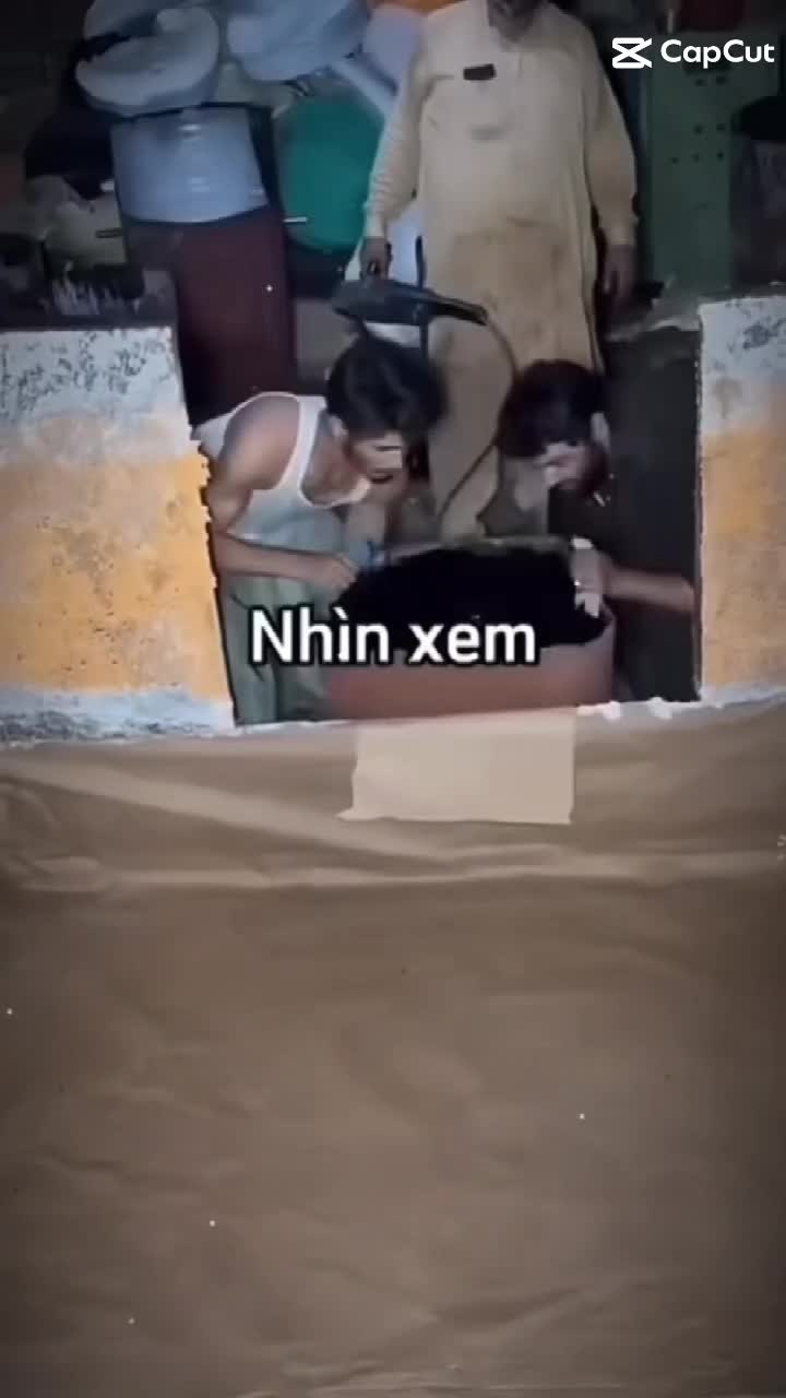 @Neko Neko Canceria