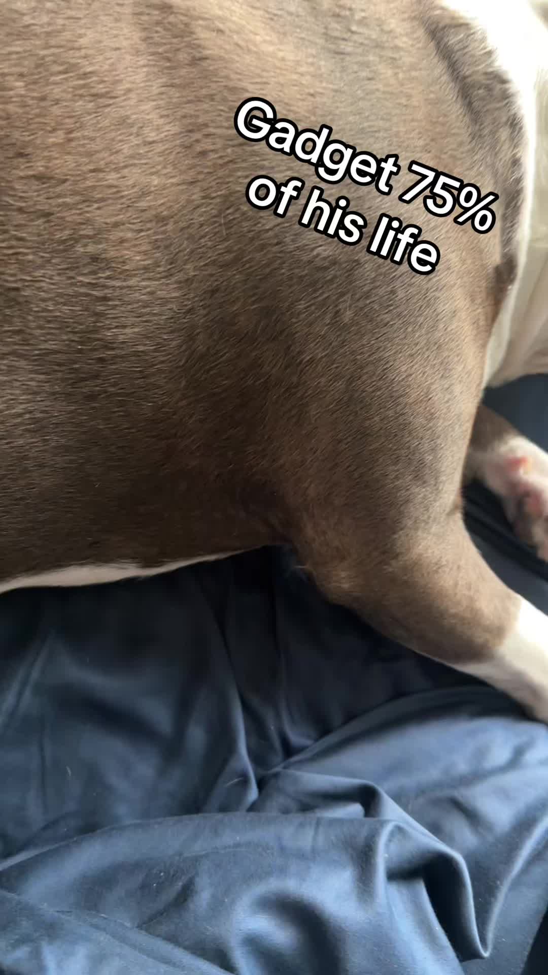 @Stefan_In_The_Sticks