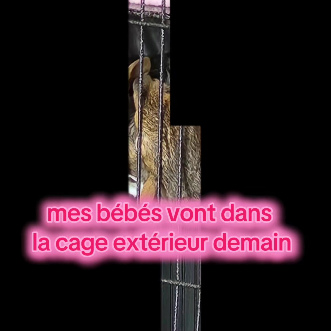 @Celine Gingras