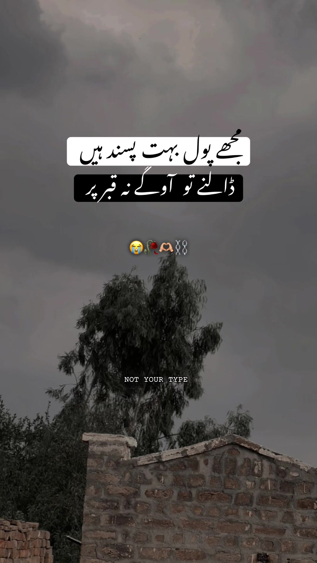 @⚡𝙉𝙤𝙩 𝙔𝙤𝙪𝙧 𝙏𝙮𝙥𝙚⚡