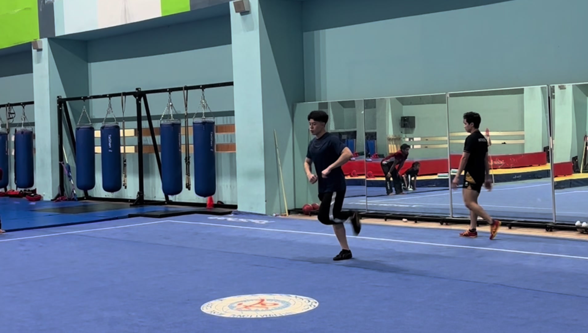 @Terrence Tjahyadi 蔡